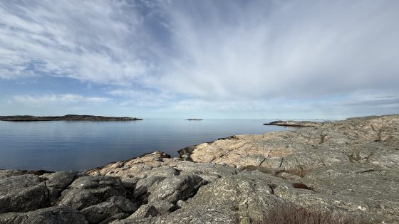 IMG_6724